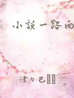 小说一路向西