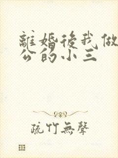 离婚后我做了老公的小三