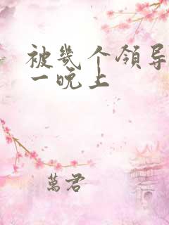 被几个领导玩弄一晚上