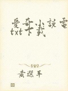 爱奇小说电子书txt下载