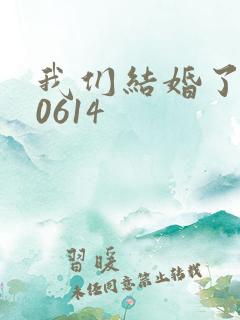 我们结婚了130614