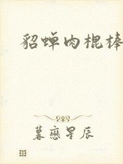 貂蝉肉棍棒小说