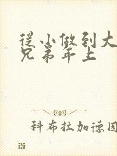 从小做到大骨科兄弟年上