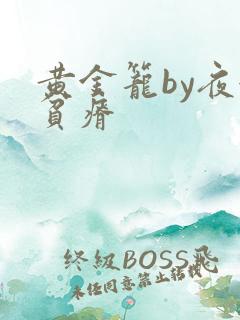 黄金笼by夜很贫瘠