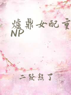 炉鼎女配重生之NP