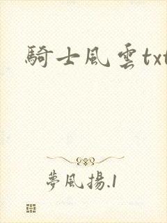 骑士风云txt