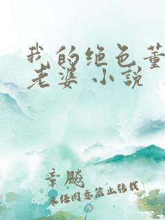 我的绝色董事长老婆 小说