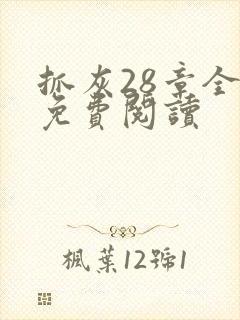 抓灰28章全部免费阅读