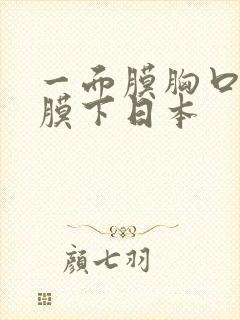 一面膜胸口一面膜下日本