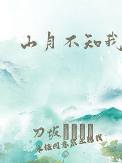 山月不知我心事