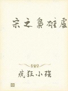 宋之枭雄卢俊义