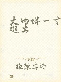 大肉蟒一寸一寸进出