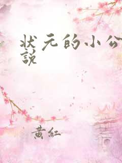 状元的小公主小说