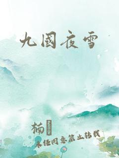 九国夜雪