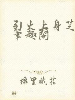 引火上身芝麻糖笔趣阁