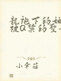 龙袍下的她皇嫂被Q禁的圣女