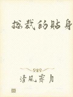 总裁的贴身冷秘