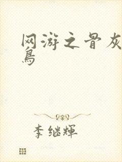 网游之骨灰级菜鸟