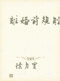 离婚前规则小说