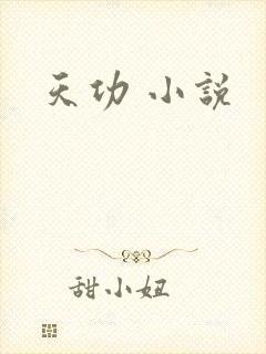 天功 小说