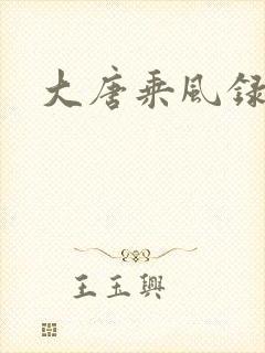 大唐乘风录