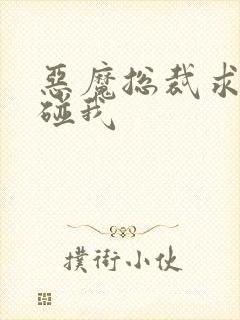 恶魔总裁求你别碰我