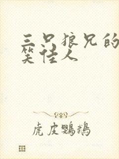 三只狼兄的宠妻笑佳人