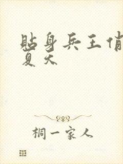 贴身兵王俏总裁夏天