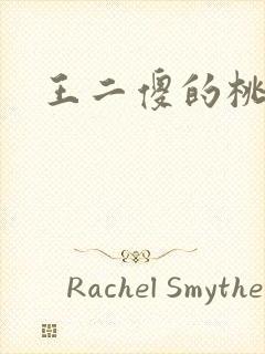 王二傻的桃花运