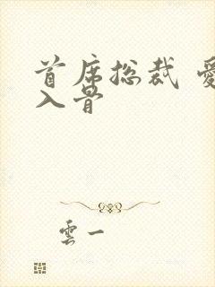 首席总裁 爱你入骨