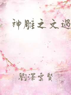 神雕之文过饰非