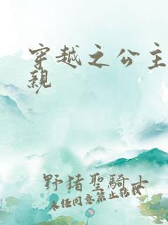 穿越之公主要娶亲