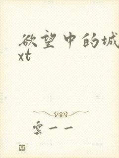 欲望中的城市txt