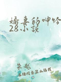 娇妻的呻吟1—28小说