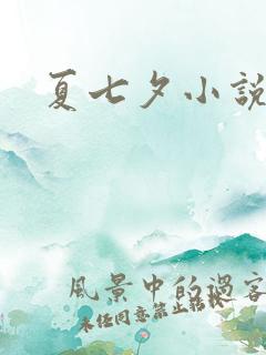 夏七夕小说