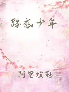 路感少年