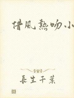 借风热吻小神明