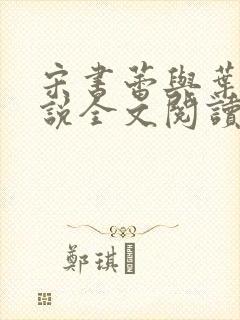 宋书蕾与叶临小说全文阅读