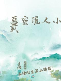 恶灵猎人小说下载