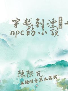 穿越到湮婸世界npc的小说