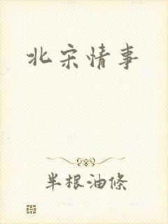 北宋情事