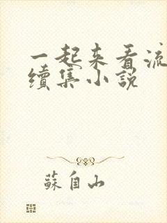 一起来看流星雨续集小说