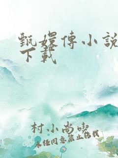 甄嬛传小说全集下载