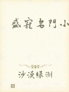 盛宠名门小夫人