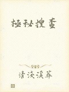 极秘搜查