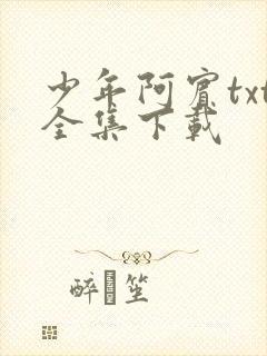 少年阿宾txt全集下载