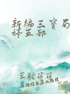 新编三宝局长许婷五部