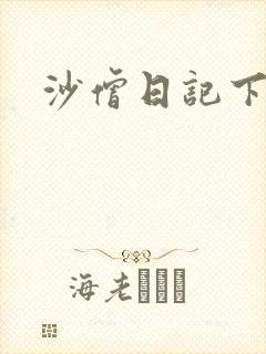 沙僧日记下载