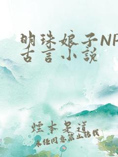 明珠娘子NPC古言小说