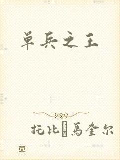 单兵之王